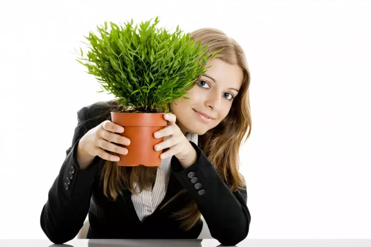 Yapay Çiçek Alırken Uygulamanız Gereken 7 Altın Kural!