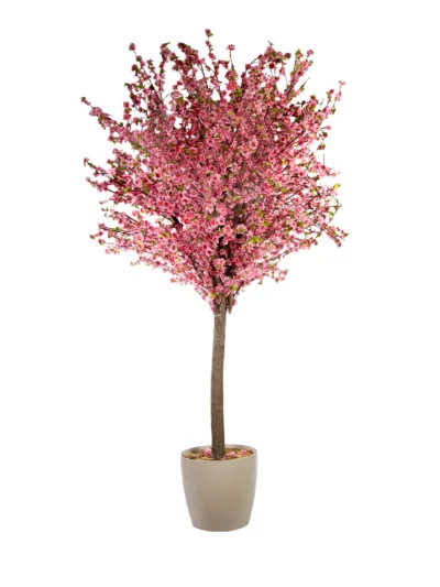 1064 Pembe Bahar Dali 200 Cm