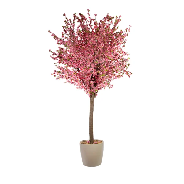 1064 Pembe Bahar Dali 200 Cm