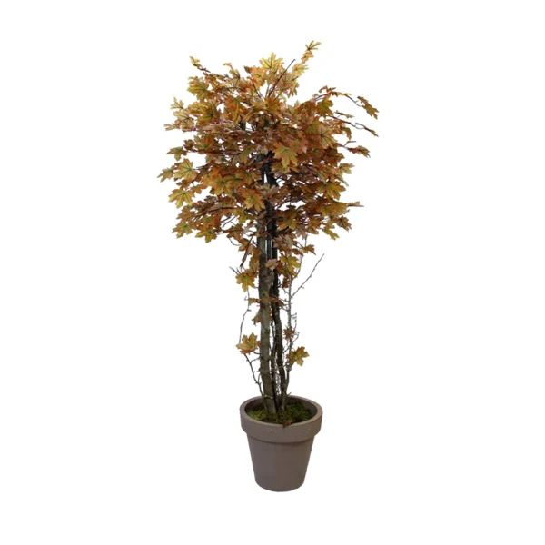 1079 Pastel Cinar 180 Cm