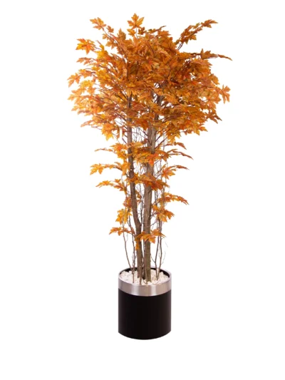 1083 Hazan Cinar 180 Cm