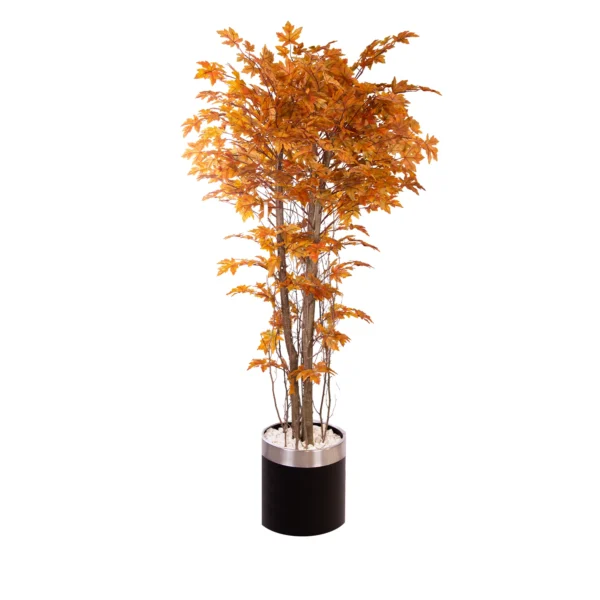 1083 Hazan Cinar 180 Cm