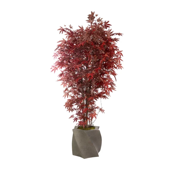 1095 Japon Akcaagac 180 Cm