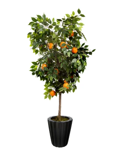 1105 Portakal 180 Cm