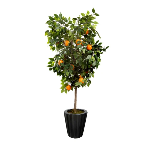 1105 Portakal 180 Cm