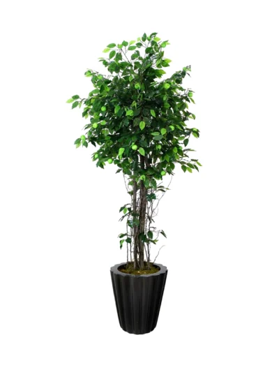 1117 Mini Yesil Elma 170 Cm