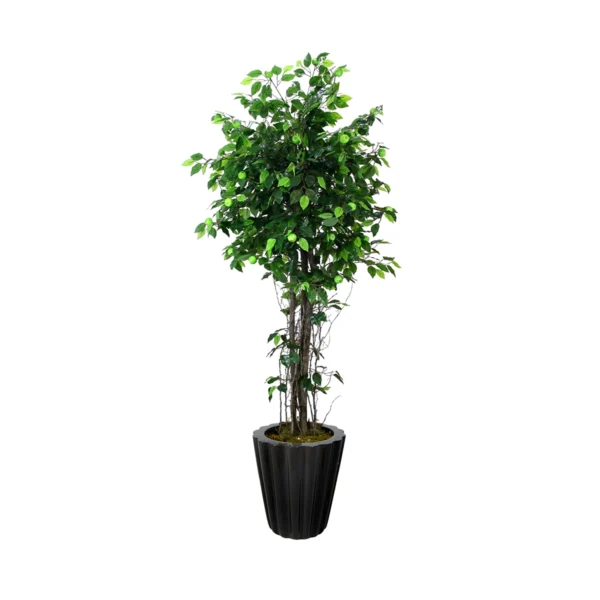 1117 Mini Yesil Elma 170 Cm