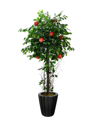 1118 Kirmizi Elma Agaci 180 Cm