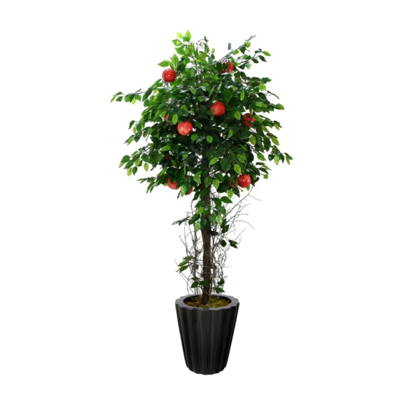 1118 Kirmizi Elma Agaci 180 Cm