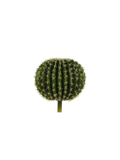 1140 Top Kaktus 33 Cm