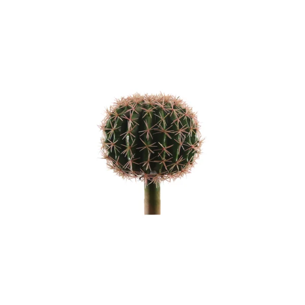 1141 Top Kaktus 23 Cm