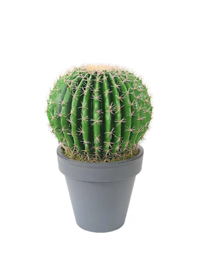 1143 Barrel 55 Cm 34 Cm