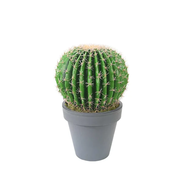 1143 Barrel 55 Cm 34 Cm