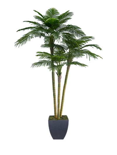 1180 Areka Palmiye 300 Cm