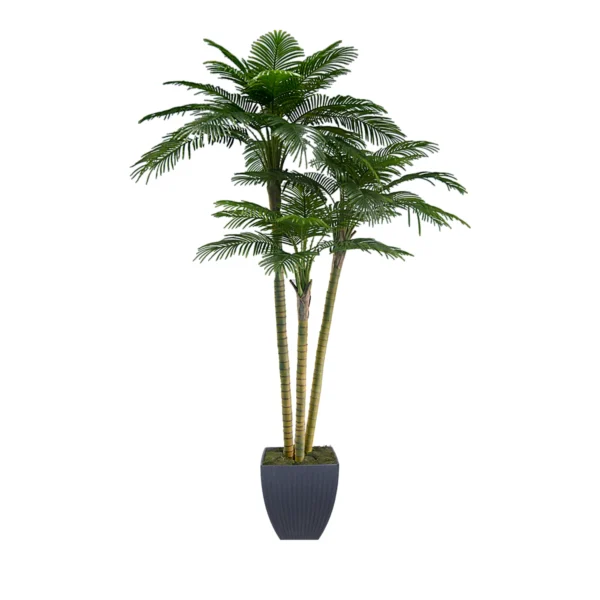 1180 Areka Palmiye 300 Cm