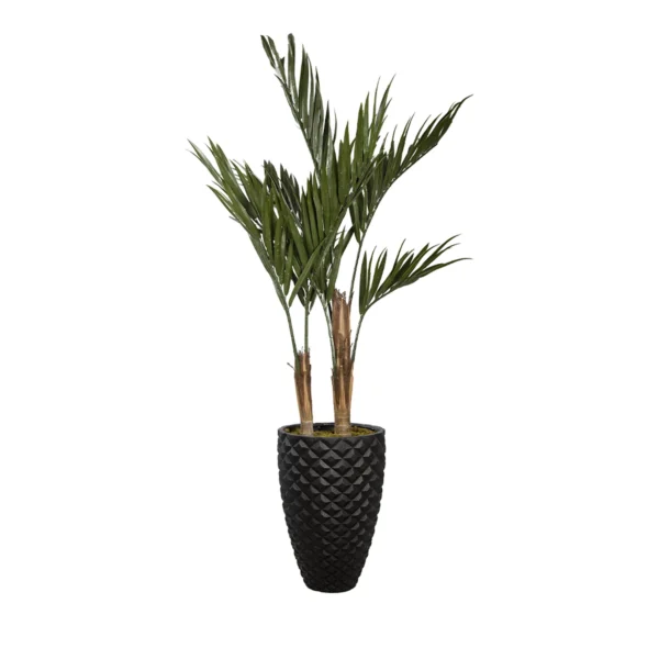 1182 Uv Kentia 180 Cm