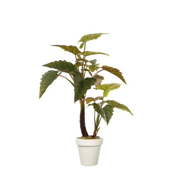 1212 Fil Kulagi 190 Cm