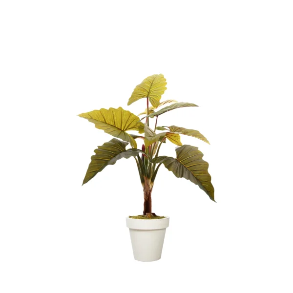 1213 Fil Kulagi 160 Cm