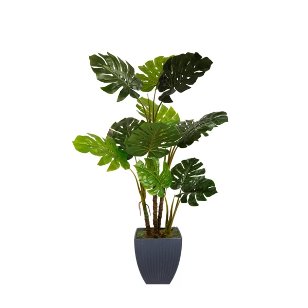 1218 Devetabani 160 Cm