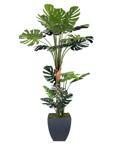 1219 Devetabani 180 Cm