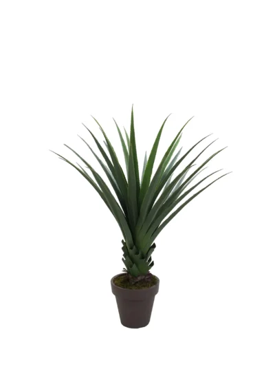 1222 Agave 125 Cm