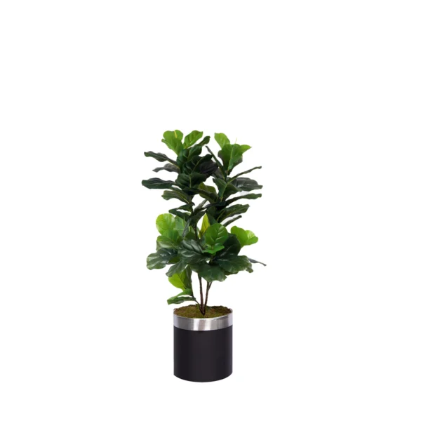 1242 Kaucuk Cicegi 120 Cm