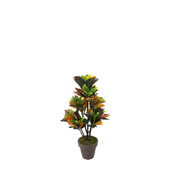 1249 Kraton 120 Cm