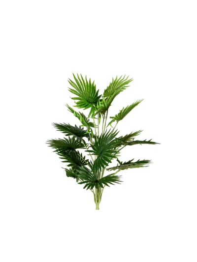 1277 Fan Palmiye 70 Cm