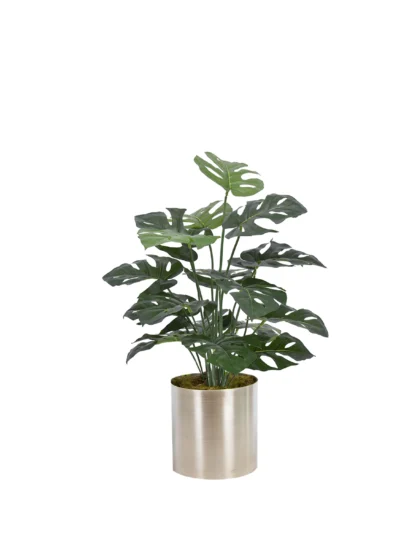 1290 Devetabani 75 Cm