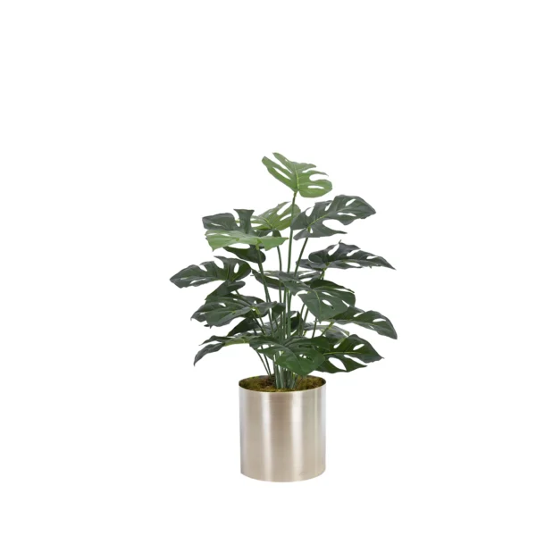 1290 Devetabani 75 Cm