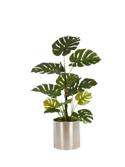 1292 Devetabani 100 Cm