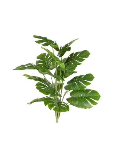 1323 Devetabani 68 Cm