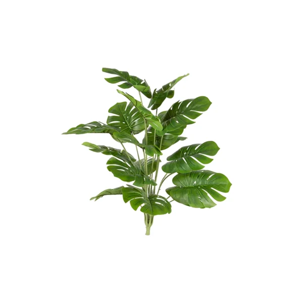 1323 Devetabani 68 Cm