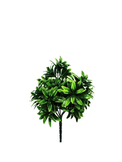 1378 Yesil Seflera 33 Cm