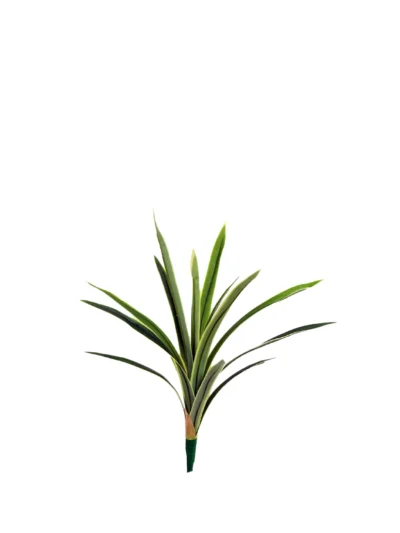1415 Dracena