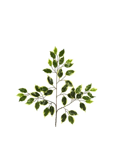 1615 Alacali Benjamin