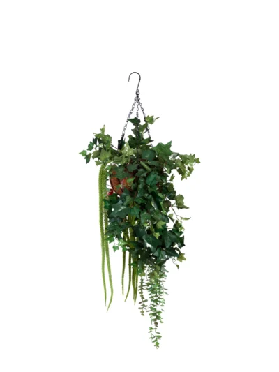 1849 Mini Hedera Sepet