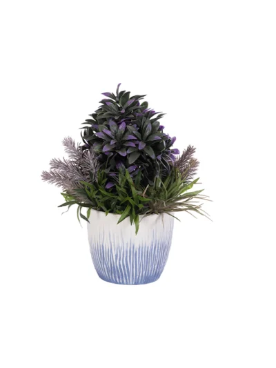 1964 Mor Seflera Cam