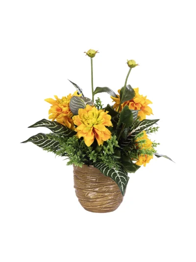 1970 Sari Dahlia Kahve