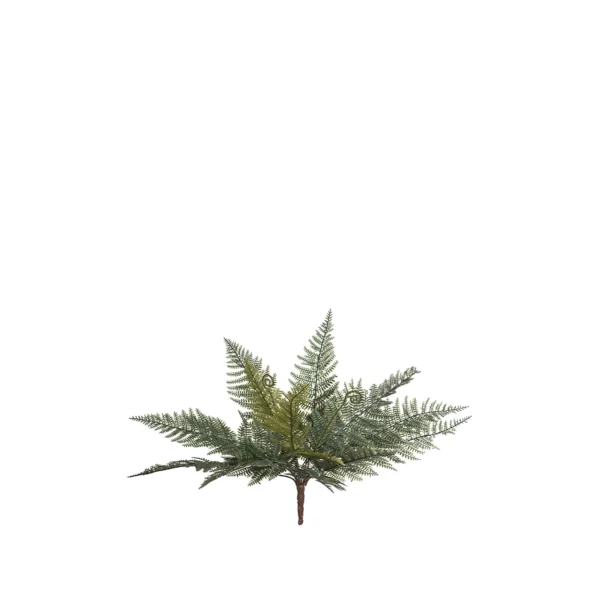 1972 Egrelti Otu 40 Cm