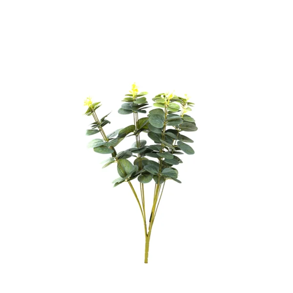 1979 Pastel Okaliptus 50 Cm