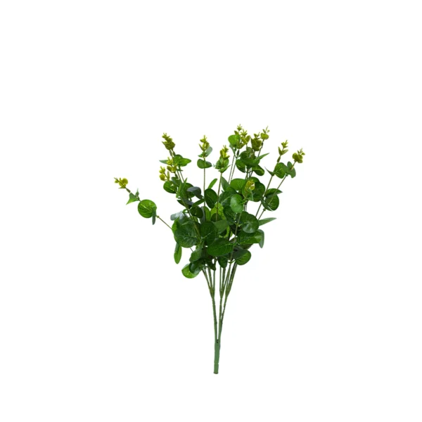 1981 Yesil Okaliptus 50 Cm