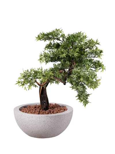 Ms21B 0004 Yesil Akcaagac Bonsai 90 Cm