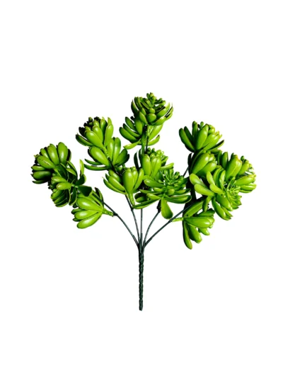 Ms22 0011 Sukulent 29 Cm