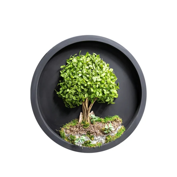 Ms22T 0005 Yesil Ada Bonsai 90 Cm