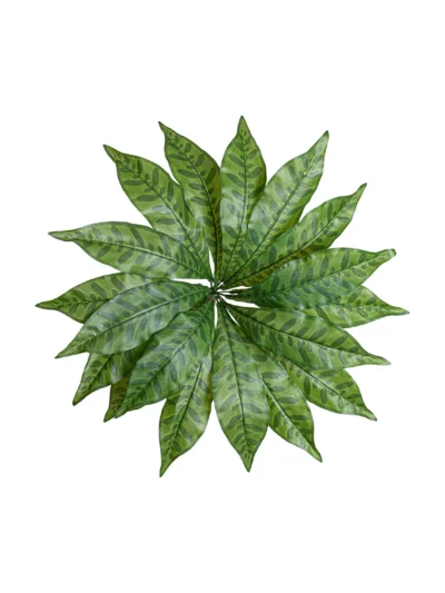 Ms32 0039 Trop K Yaprak 45 Cm