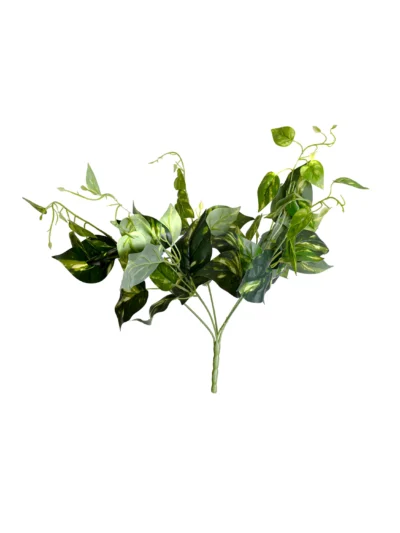 Ms32 0043 Salon Sarma I I B Tk S 45 Cm