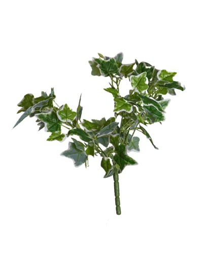 Ms32 0044 Starlight Hedera 40 Cm