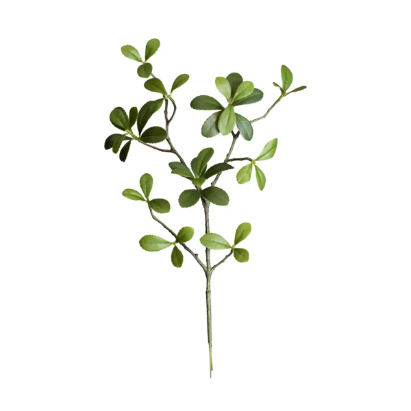 Ms4 0057 Ye L Ada Bahar E Dali 45 Cm