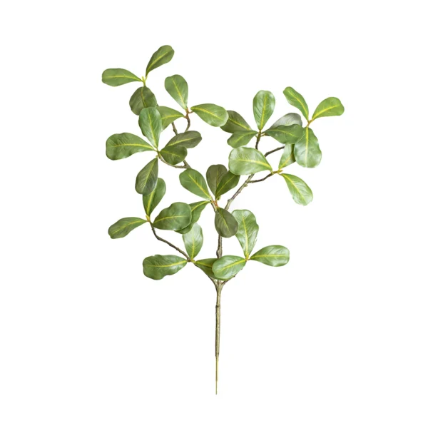 Ms4 0058 A Ik Ye L Ada Bahar E Dali 45 Cm